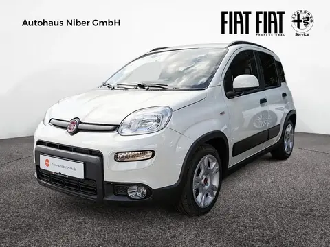 Used FIAT PANDA Petrol 2024 Ad 