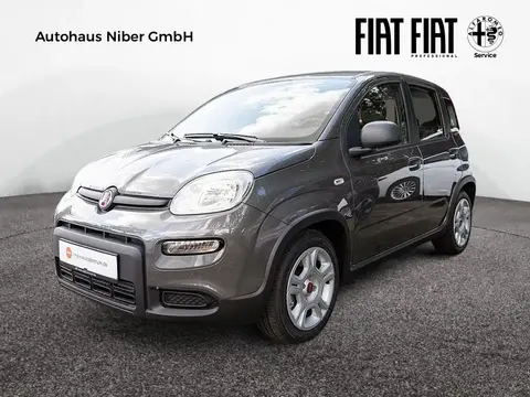 Annonce FIAT PANDA Essence 2024 d'occasion 