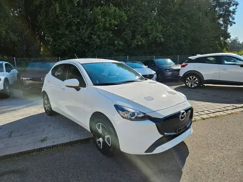 Annonce MAZDA 2 Essence 2024 d'occasion 