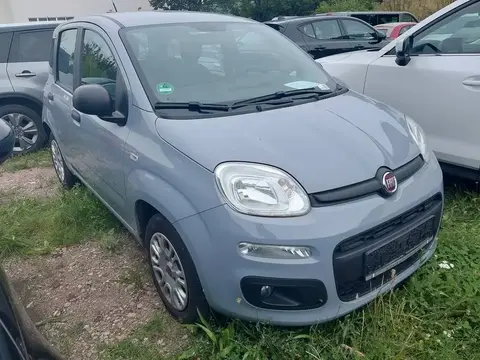 Annonce FIAT PANDA Essence 2019 d'occasion 