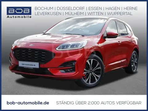 Annonce FORD KUGA Hybride 2020 d'occasion 