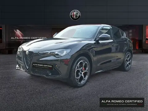 Used ALFA ROMEO STELVIO Petrol 2024 Ad 