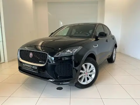 Used JAGUAR E-PACE Diesel 2020 Ad 