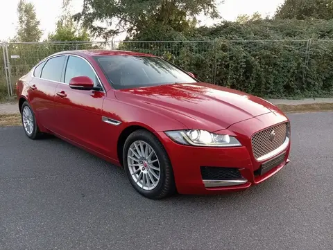 Used JAGUAR XF Diesel 2019 Ad 