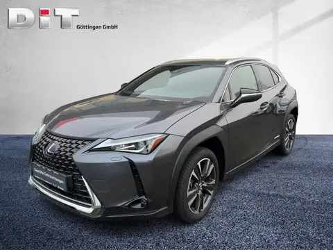 Used LEXUS UX Hybrid 2022 Ad 