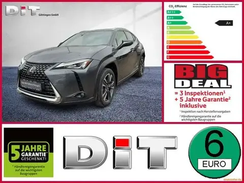 Used LEXUS UX Hybrid 2022 Ad 