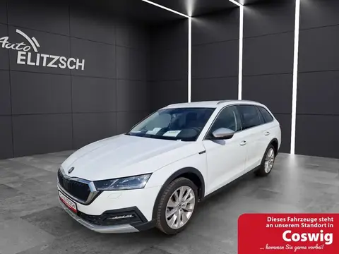 Used SKODA OCTAVIA Diesel 2021 Ad 