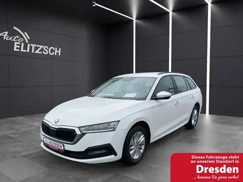 Annonce SKODA OCTAVIA Diesel 2022 d'occasion 