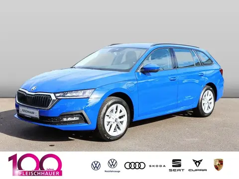 Annonce SKODA OCTAVIA Hybride 2024 d'occasion 