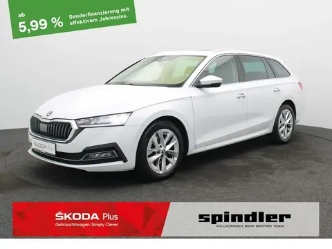 Used SKODA OCTAVIA Diesel 2020 Ad 