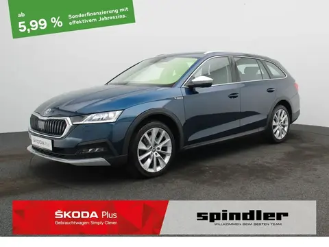 Used SKODA OCTAVIA Diesel 2021 Ad 