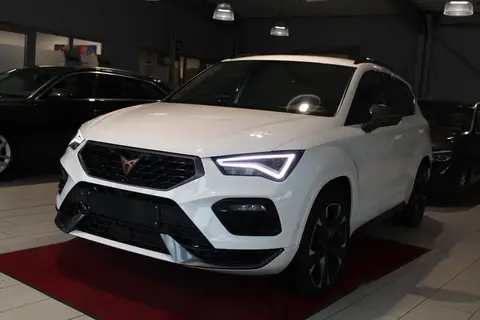 Used CUPRA ATECA Petrol 2023 Ad 