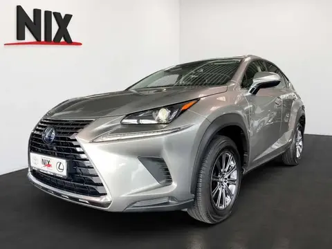 Annonce LEXUS NX Hybride 2020 d'occasion 