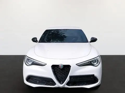 Annonce ALFA ROMEO STELVIO Diesel 2020 d'occasion 