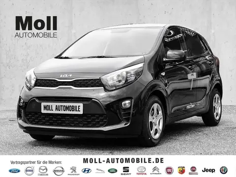 Used KIA PICANTO Petrol 2023 Ad 