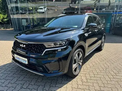 Annonce KIA SORENTO Hybride 2024 d'occasion 