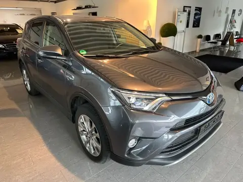 Used TOYOTA RAV4 Hybrid 2016 Ad Germany