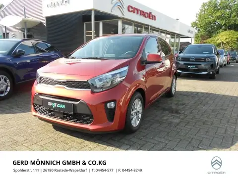 Used KIA PICANTO Petrol 2022 Ad 