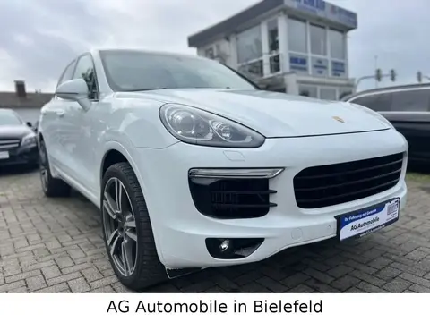 Used PORSCHE CAYENNE Diesel 2016 Ad 