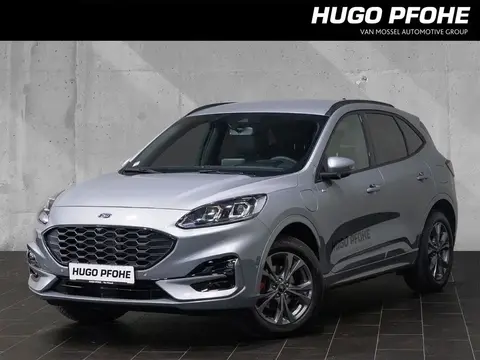 Used FORD KUGA Hybrid 2024 Ad 