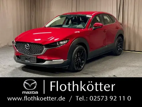 Annonce MAZDA CX-30 Hybride 2022 d'occasion 