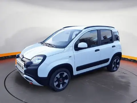 Used FIAT PANDA Petrol 2023 Ad 