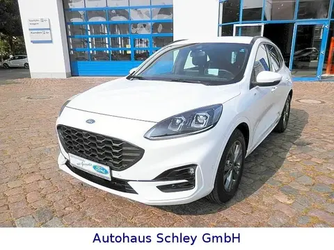 Annonce FORD KUGA Hybride 2023 d'occasion 