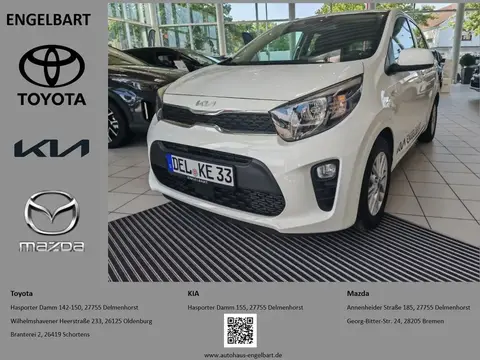 Used KIA PICANTO Petrol 2023 Ad 