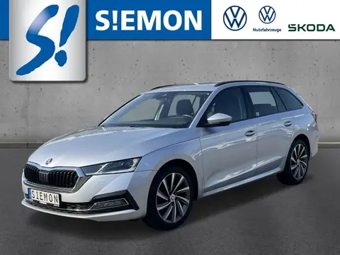 Used SKODA OCTAVIA Diesel 2020 Ad 