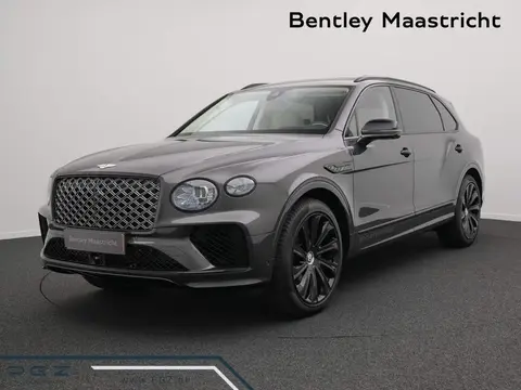 Used BENTLEY BENTAYGA Petrol 2024 Ad 