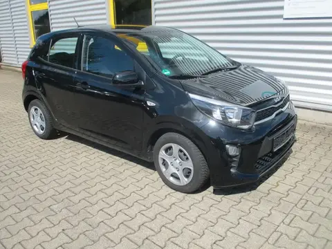 Annonce KIA PICANTO Essence 2023 d'occasion 