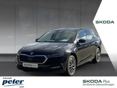 Used SKODA OCTAVIA Petrol 2023 Ad 