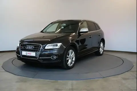 Used AUDI SQ5 Diesel 2016 Ad 