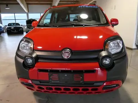 Used FIAT PANDA Hybrid 2022 Ad 