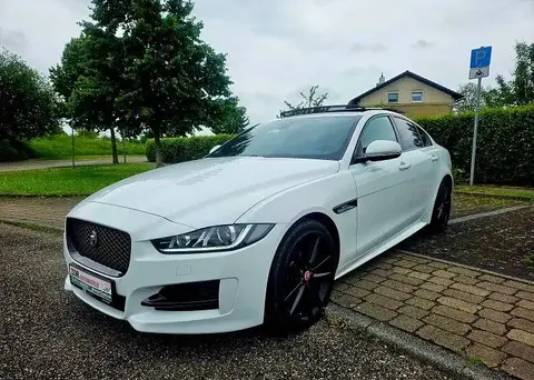 Used JAGUAR XE Diesel 2017 Ad 