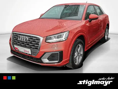 Used AUDI Q2 Petrol 2019 Ad Germany