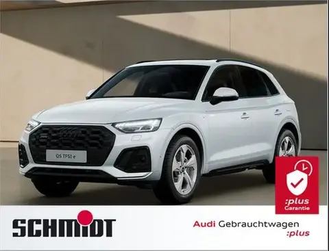 Used AUDI Q5 Hybrid 2023 Ad 