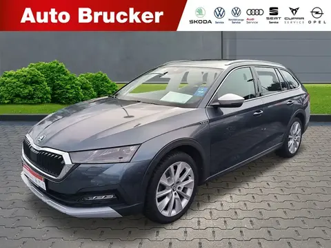 Used SKODA OCTAVIA Diesel 2022 Ad 