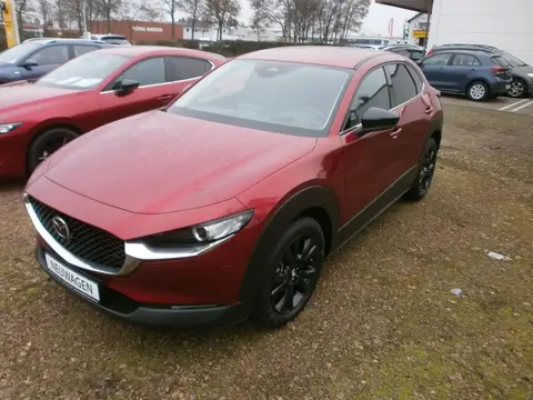 Used MAZDA CX-30 Petrol 2023 Ad 