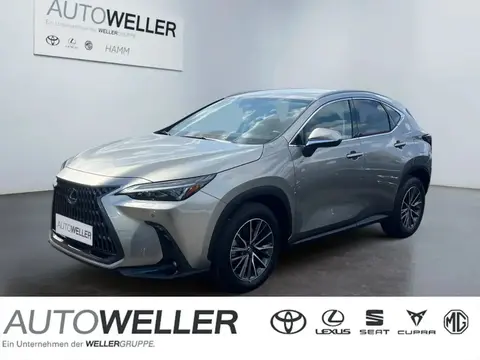 Annonce LEXUS NX Hybride 2023 d'occasion 