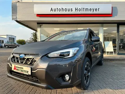 Used SUBARU XV Petrol 2023 Ad 