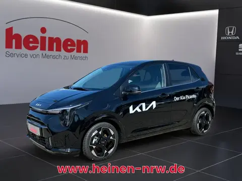 Used KIA PICANTO Petrol 2024 Ad 