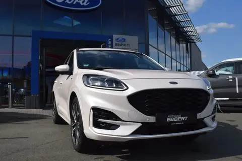 Annonce FORD KUGA Essence 2020 d'occasion 