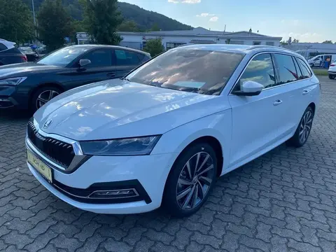 Annonce SKODA OCTAVIA Essence 2023 d'occasion 