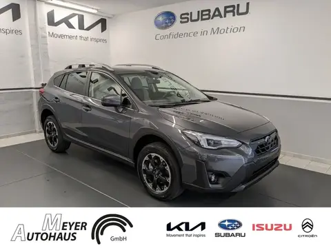 Annonce SUBARU XV Essence 2024 d'occasion 