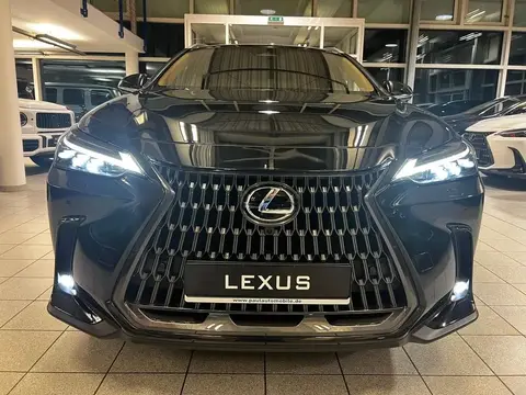 Annonce LEXUS NX Hybride 2022 d'occasion 