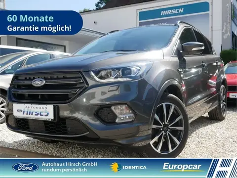 Used FORD KUGA Petrol 2019 Ad 