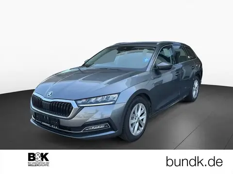 Used SKODA OCTAVIA Diesel 2024 Ad 