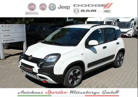 Annonce FIAT PANDA Essence 2024 d'occasion 