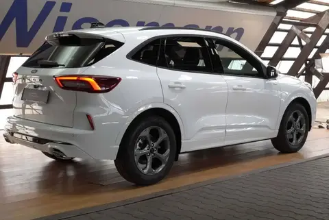 Annonce FORD KUGA Essence 2024 d'occasion 